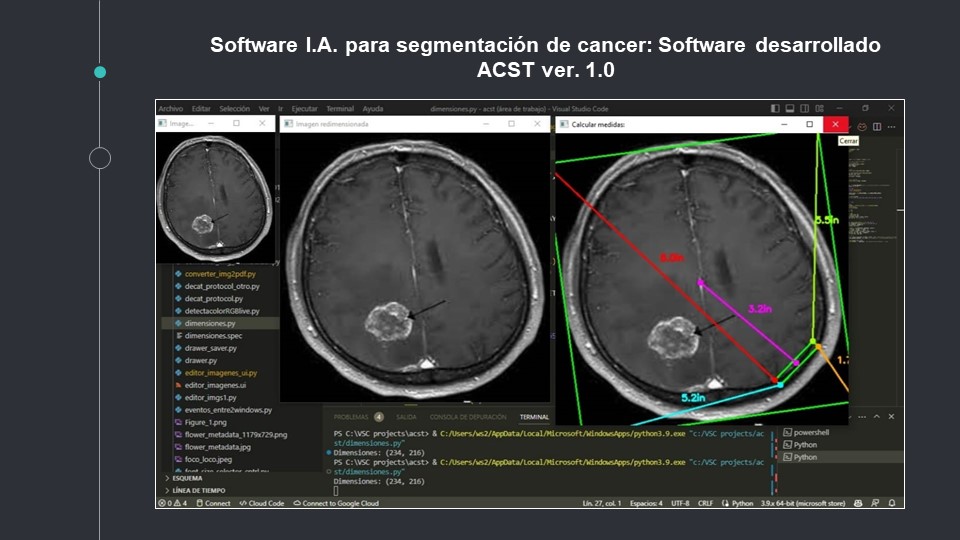 Proyecto 6