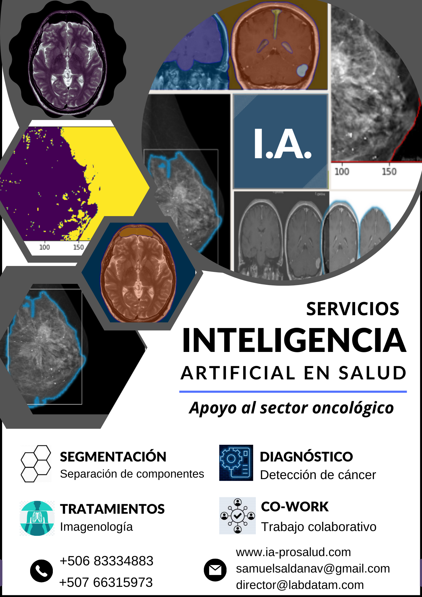 Proyecto 18